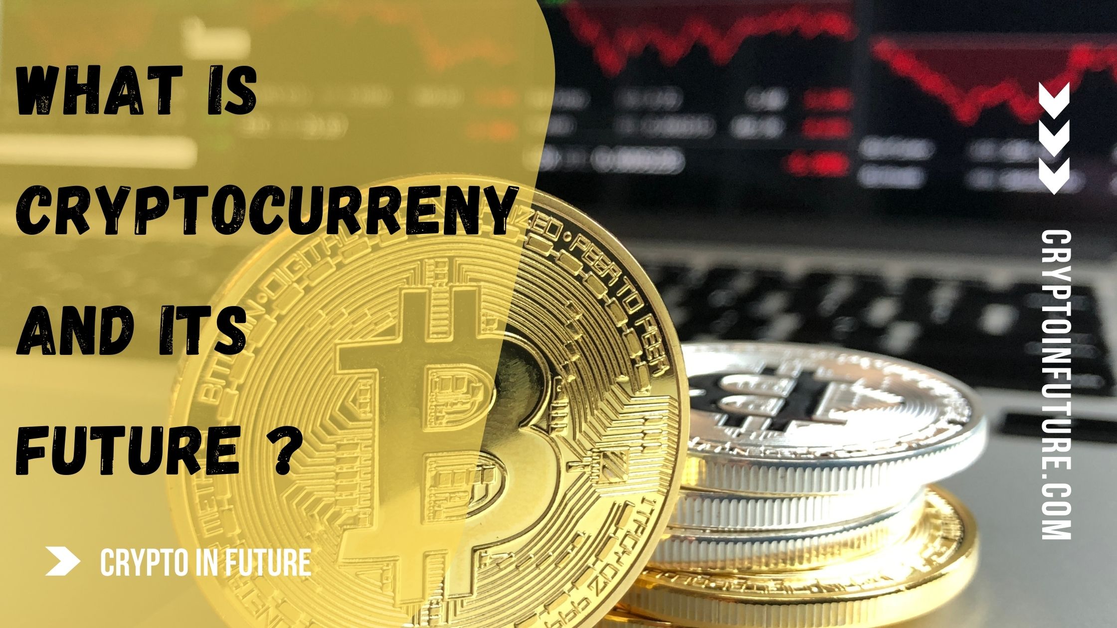 What is Cryptocurrency? Know Its Types And Future Value
