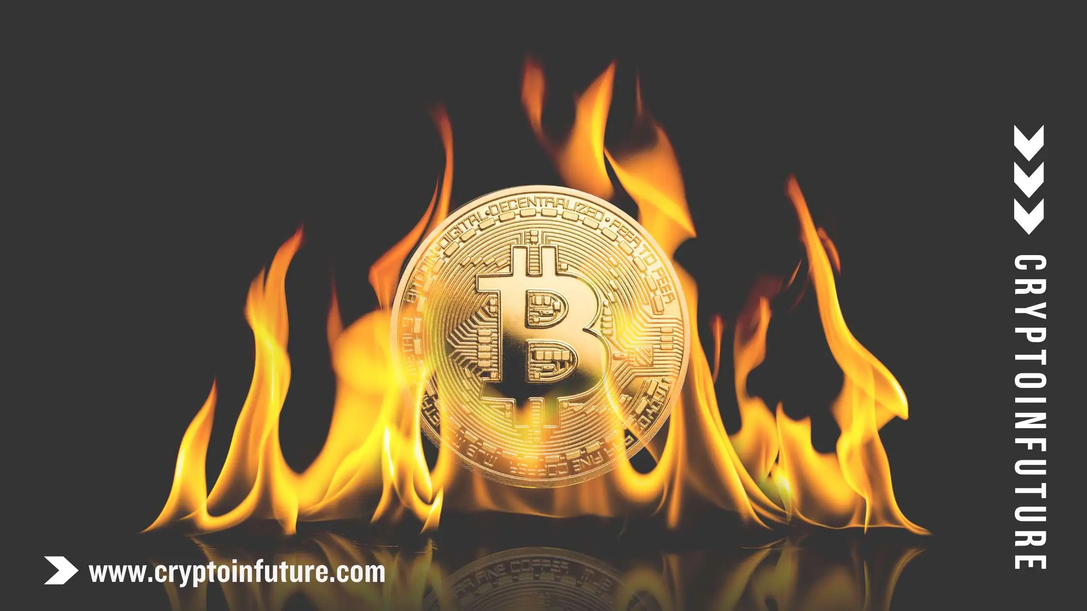 Know All About The Bitcoin (BTC)